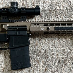 Gun1